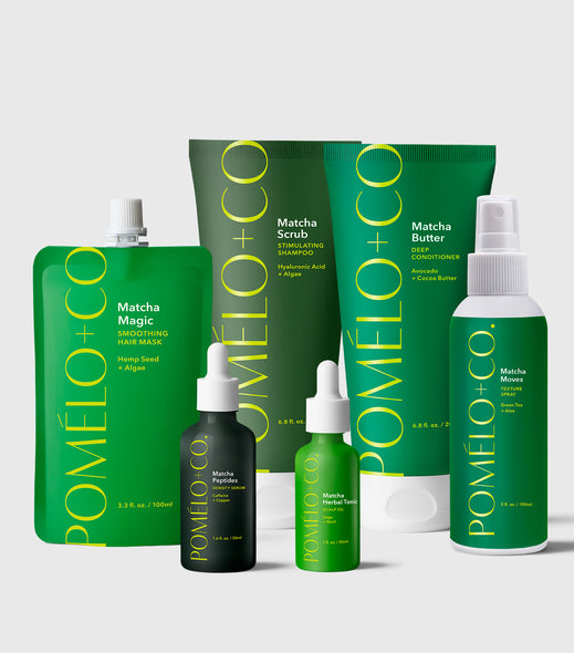 Matcha Everything Set