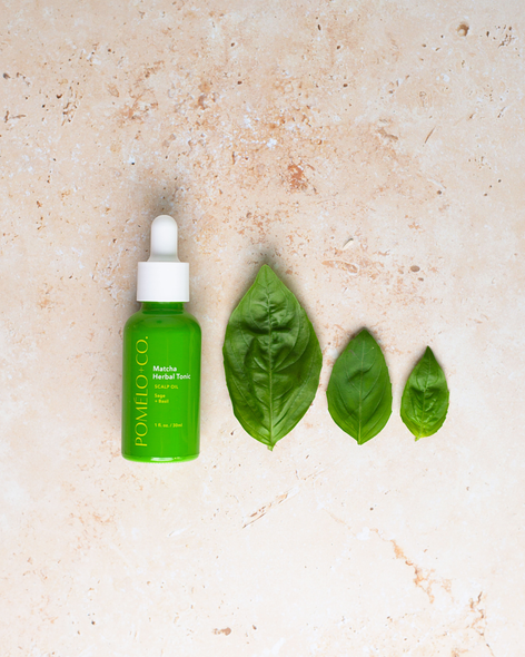 Matcha Everything Set