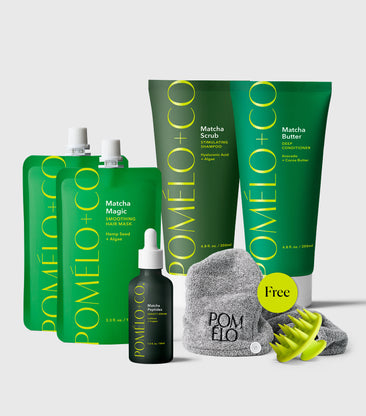 Super Matcha Everything Set